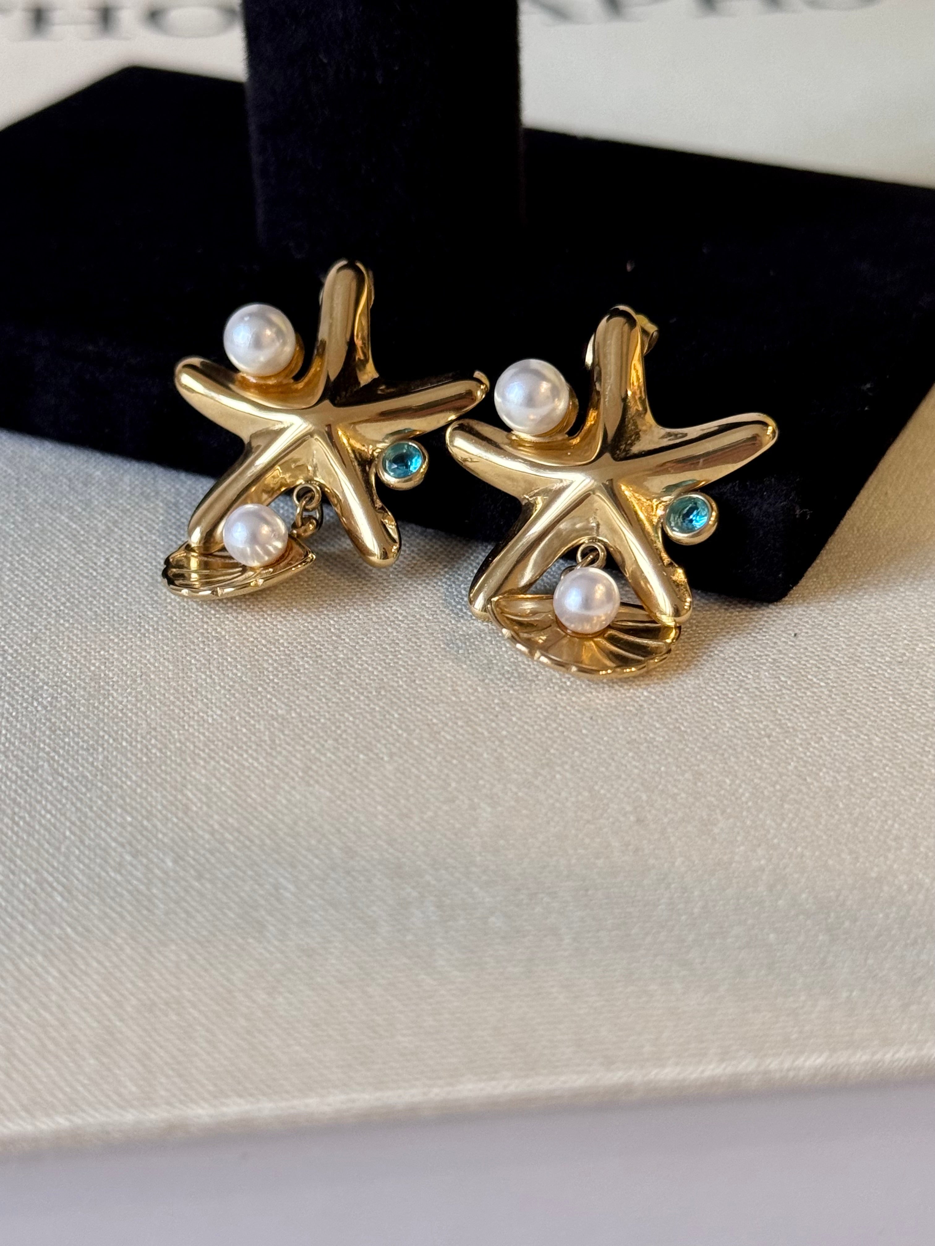 Çelik Deniz Yıldızı Küpe