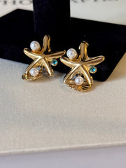 Çelik Deniz Yıldızı Küpe